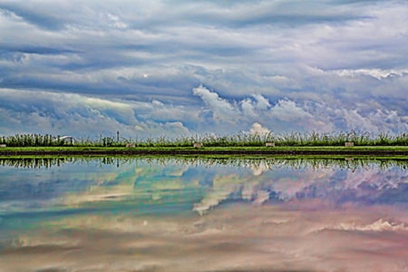 Balance_CC_MG_0662 Balance_CC_MG_0662