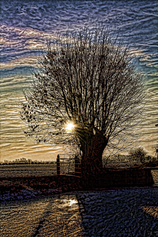 CC20090111050_Topaz-1 CC20090111050_Topaz-1