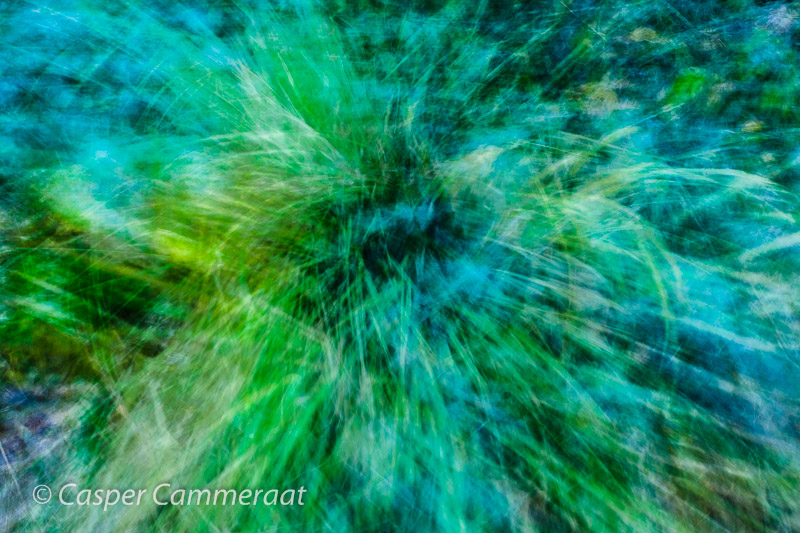 CC20131106-058 CC20131106-058