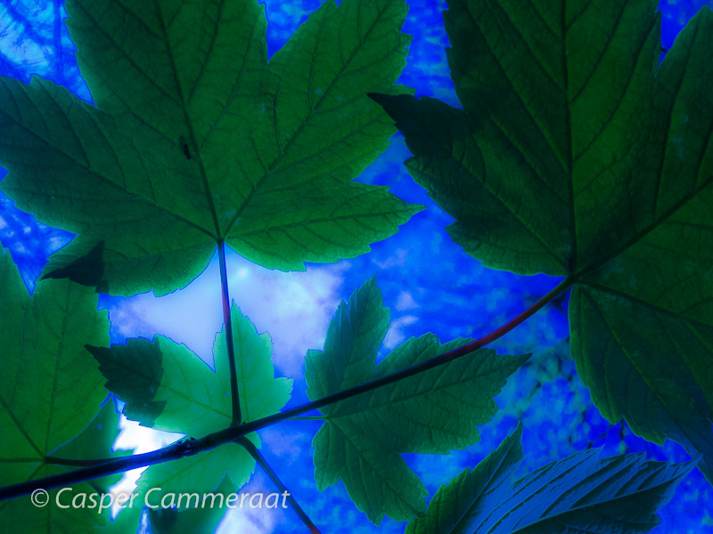 CC20140414-027 CC20140414-027