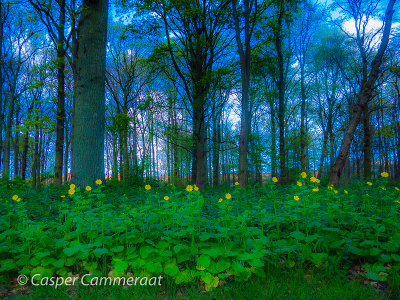 CC20140414-057 CC20140414-057