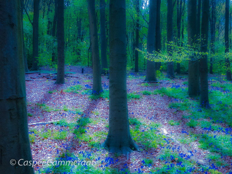 CC20140414-107 CC20140414-107