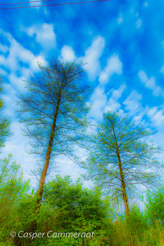 CC20140423-161 CC20140423-161