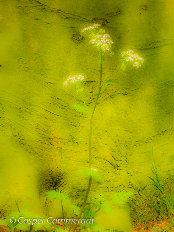 CC20140428-011 CC20140428-011