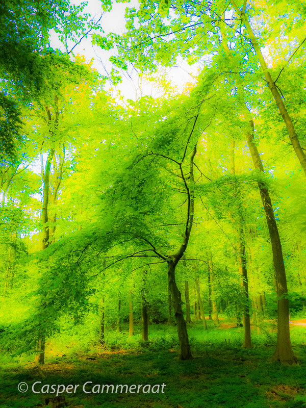 CC20140428-047 CC20140428-047