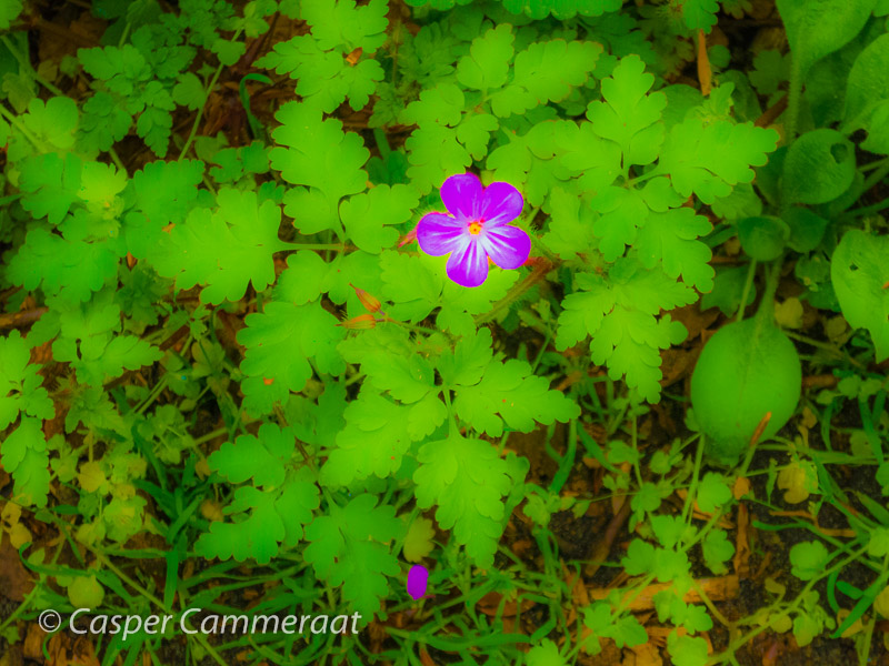 CC20140429-002 CC20140429-002