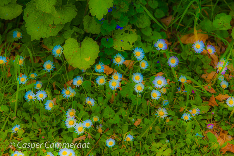 CC20140430-118 CC20140430-118