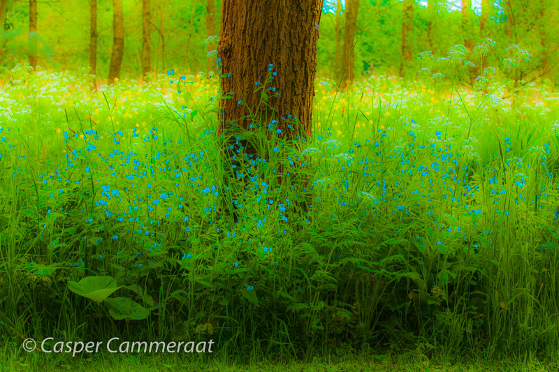 CC20140430-128 CC20140430-128