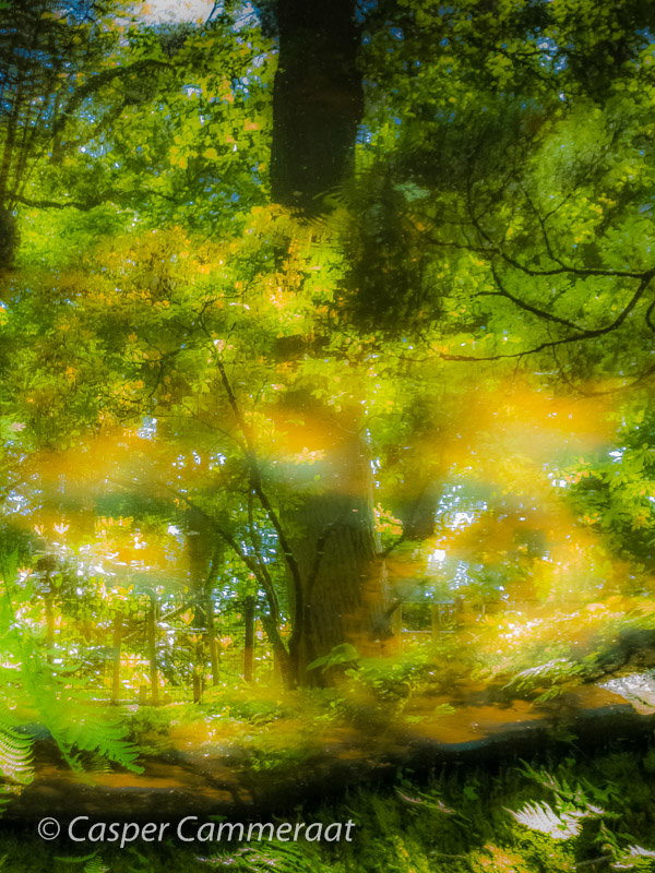CC20140516-136 CC20140516-136
