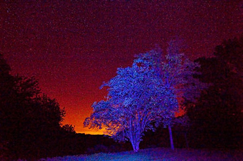 Starry_Night Starry_Night